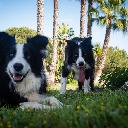 Βίλα Quinta Da Bela Vista