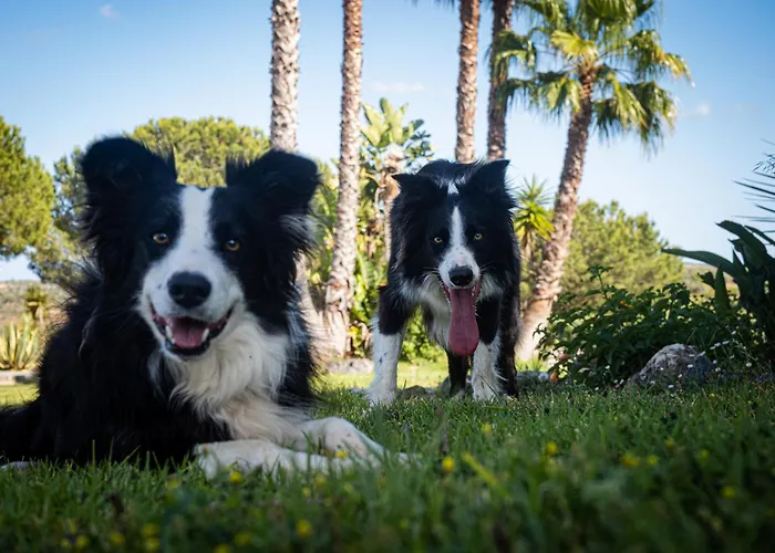 וילה Quinta Da Bela Vista