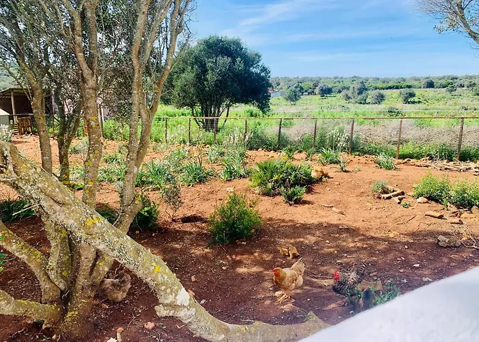 Quinta Da Bela Vista