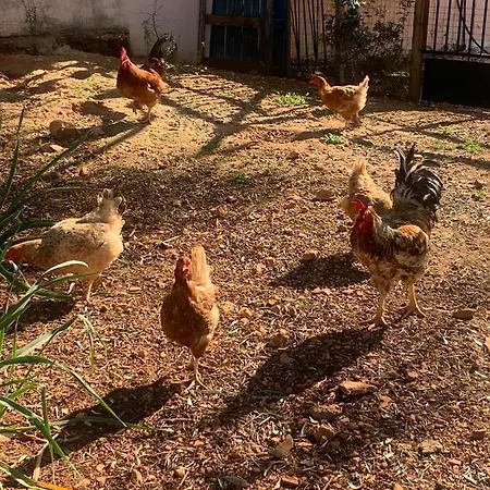 Quinta Da Bela Vista Лагуш