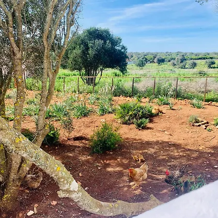 Quinta Da Bela Vista