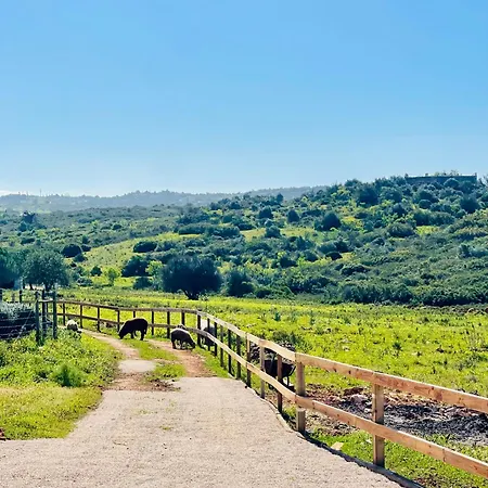 Villa Quinta Da Bela Vista